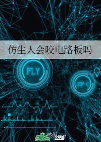仿生人会涮电子羊