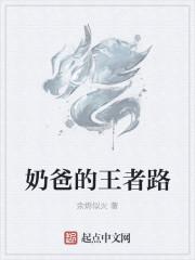 王者荣耀奶爸什么意思